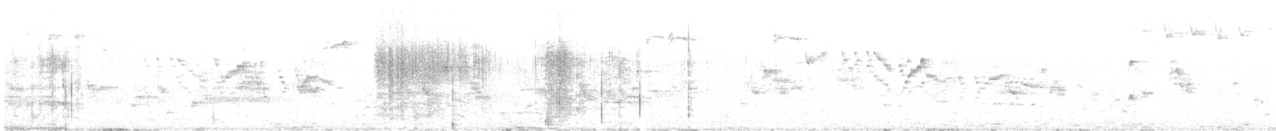 Bicknell's Thrush - ML636053043