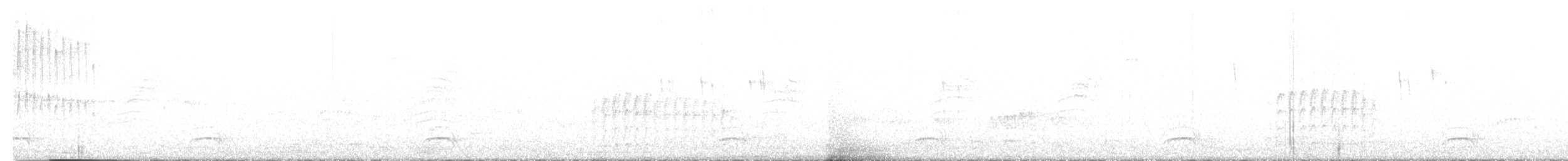 Tyranneau suiriri - ML636055173
