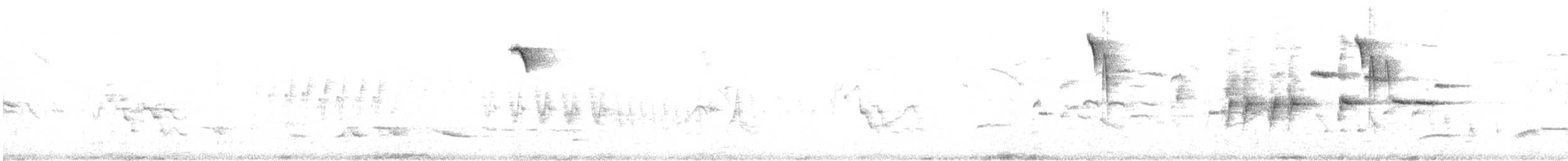 Цагаан хөмсөгт хөмрөг - ML636055588