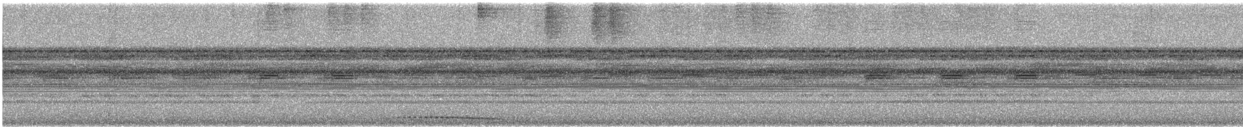 chocougle - ML636056515