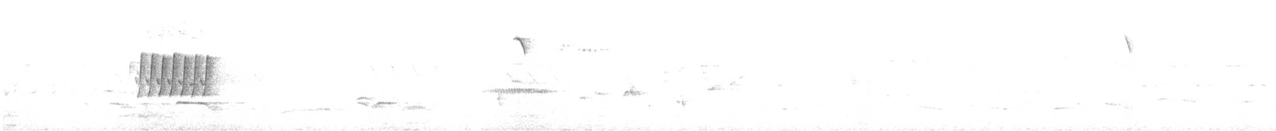 Western Bonelli's Warbler - ML636057029