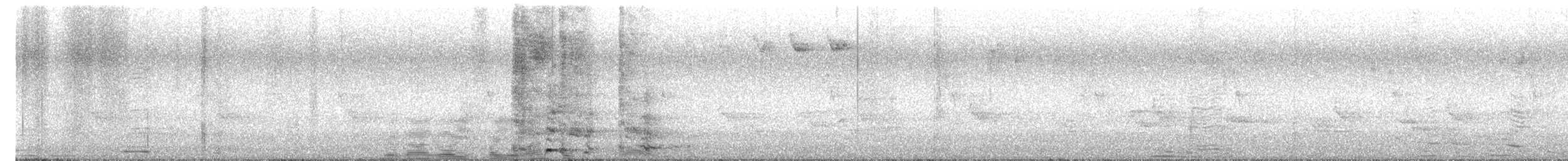 ズグロアメリカムシクイ - ML636059866