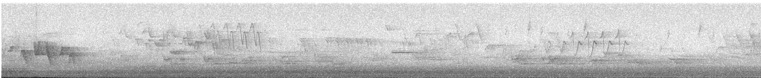 Connecticut Warbler - ML636060157