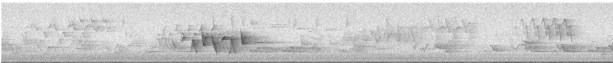 Connecticut Warbler - ML636060170