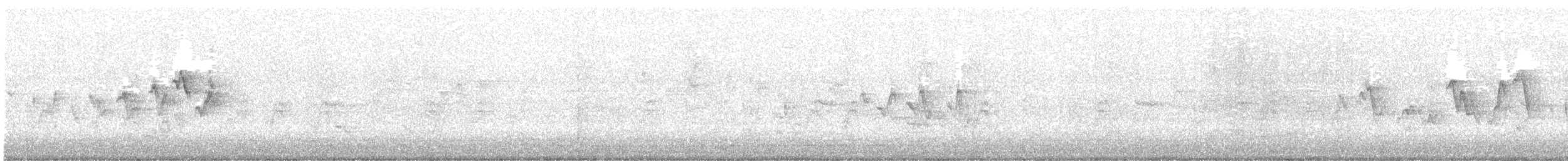 Magnolia Warbler - ML636062676