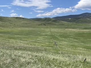 Sharptail Ridge Open Space, Douglas, Colorado, United States - eBird ...