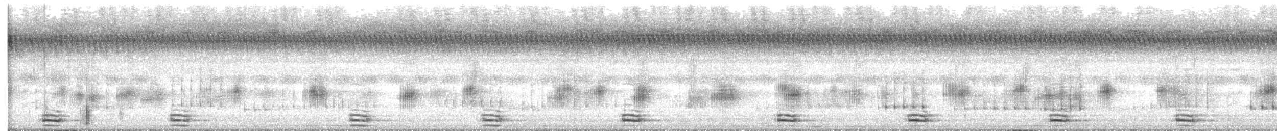 オオクイナ - ML636066089