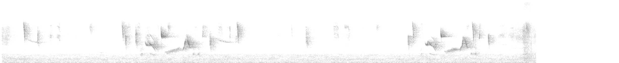 White-eyed Vireo - ML636070735