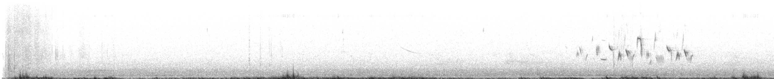 Bruant de Bell - ML636079377