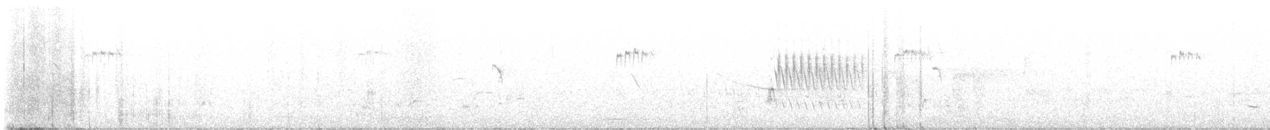 Fleckengrundammer - ML636079629