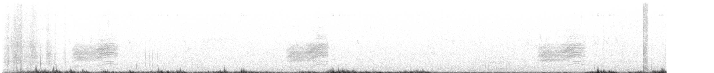 Fleckengrundammer - ML636079676