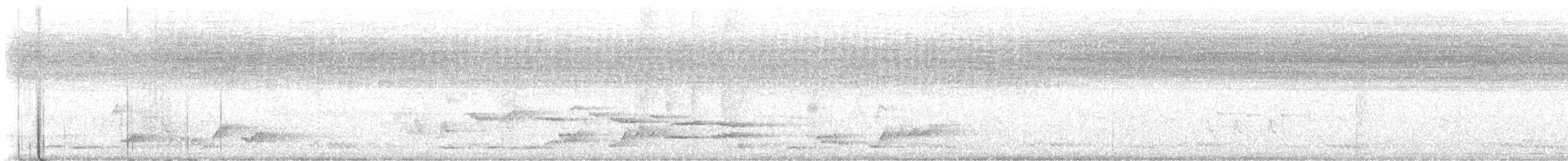Weißbürzelschama - ML636079790