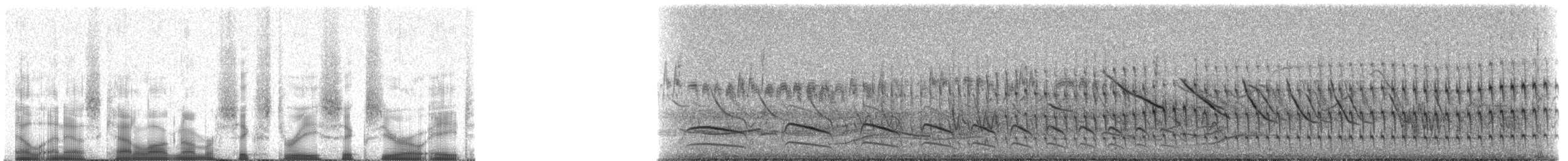 rustkronemaurvarsler (ruficapillus/cochabambae) - ML63608