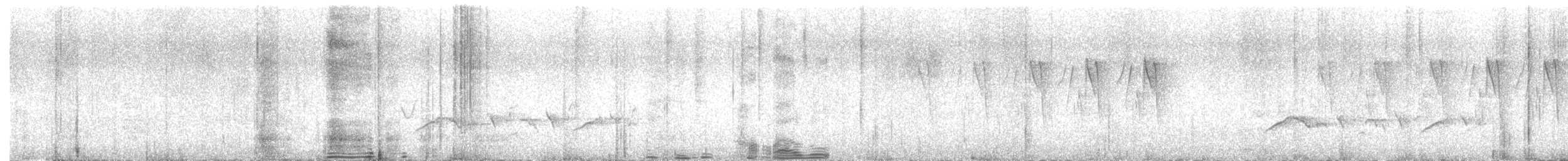 White-browed Bush-Robin - ML636081225
