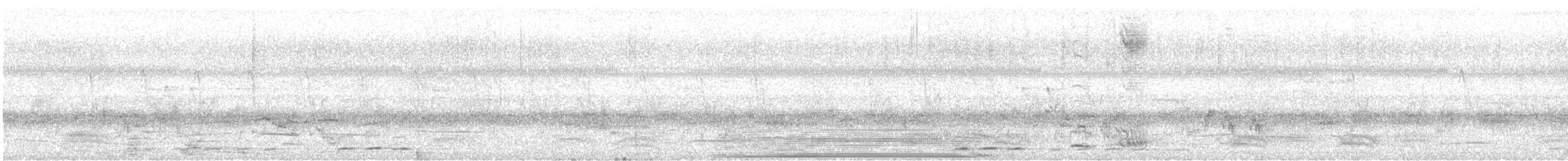 Indian Scimitar-Babbler - ML636082093