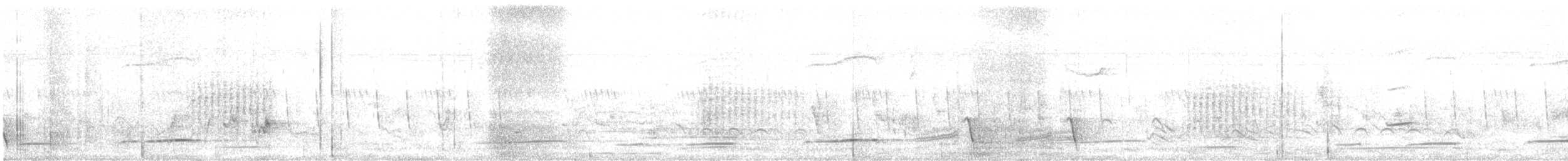 Black Cuckoo - ML636082938
