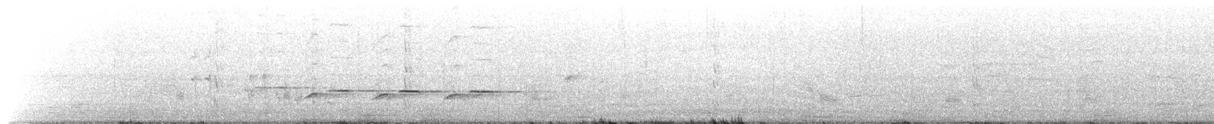 Black-winged Cuckooshrike - ML636083429