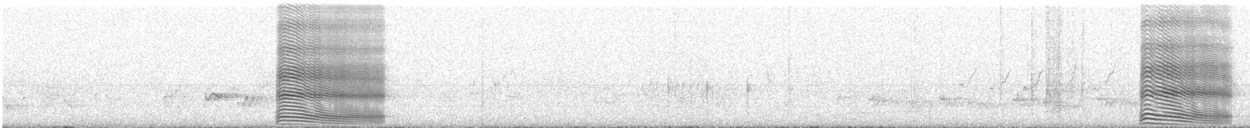 Gray Go-away-bird - ML636083545