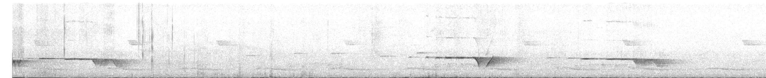 Gray-bellied Tesia - ML636083621