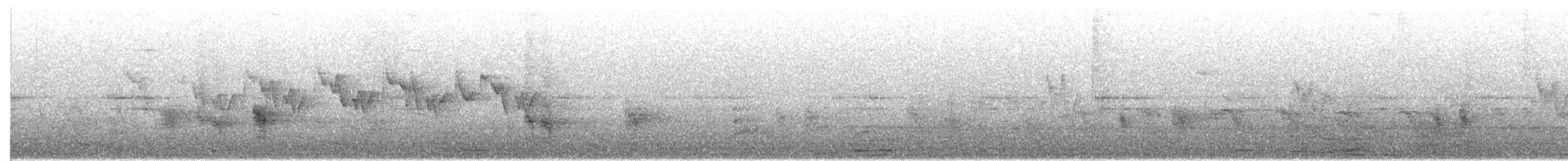 Two-barred Warbler - ML636086021