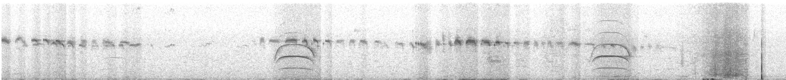 Andean Swift - ML636088382