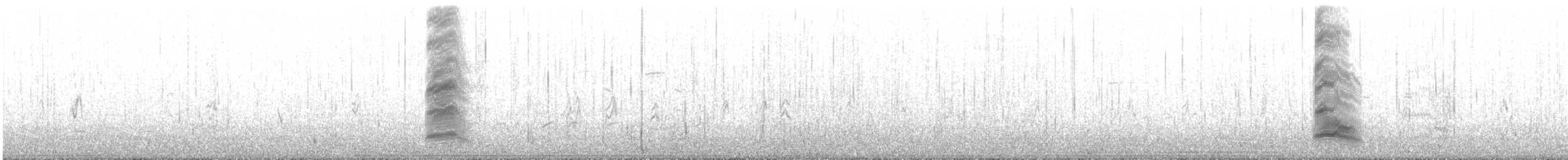 Бонапартова чайка - ML63608971