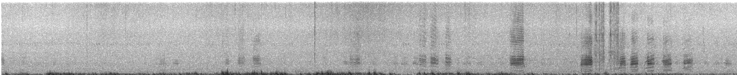 Stockente - ML636090237