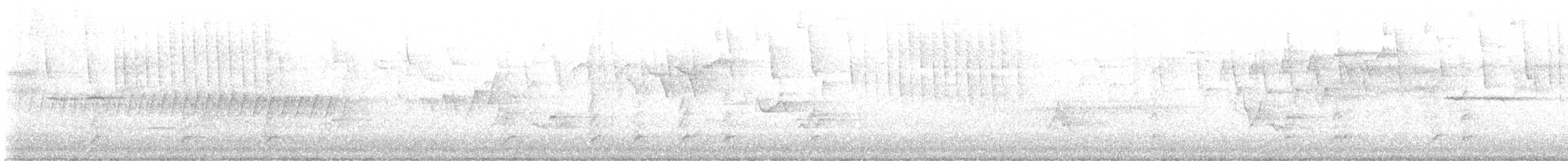 Tennessee Warbler - ML636091192