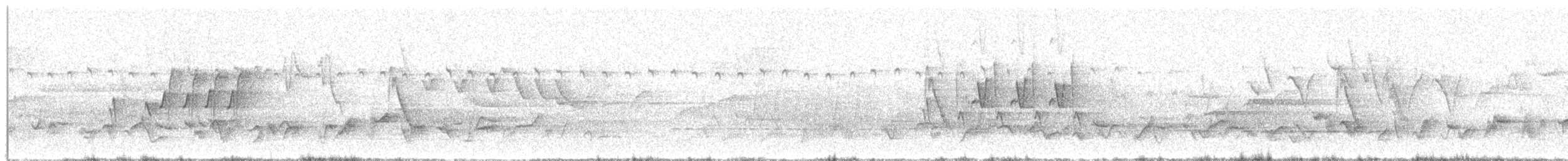 budníček šedokorunkatý - ML636092075