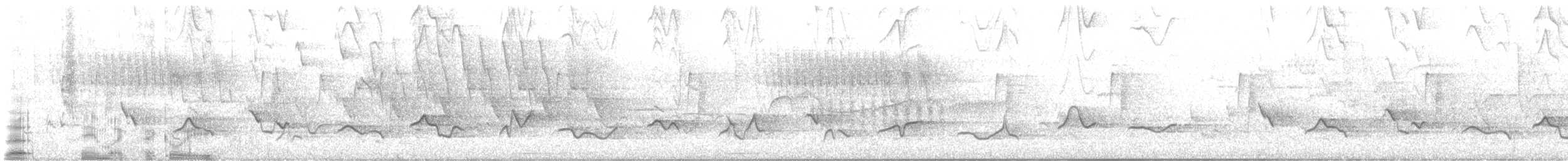Connecticut Warbler - ML636092405