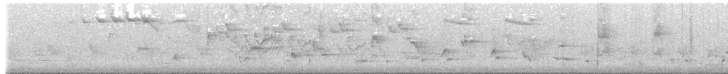 Bicknell's Thrush - ML636093252