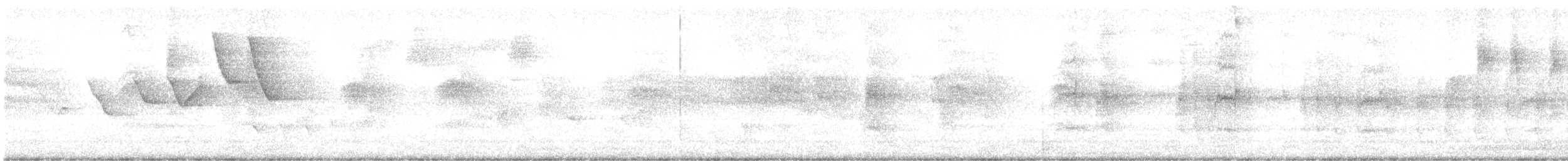 Anabate à sourcils blancs - ML636094452