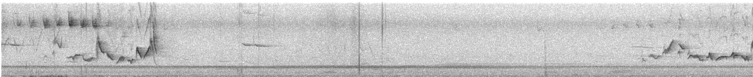 Eastern Warbling Vireo - ML636094519