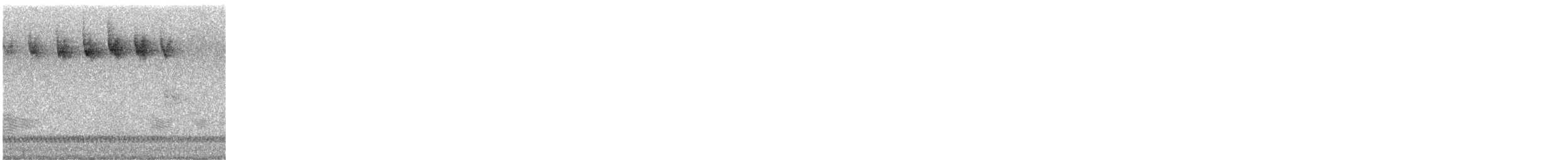 Blackpoll Warbler - ML636094525