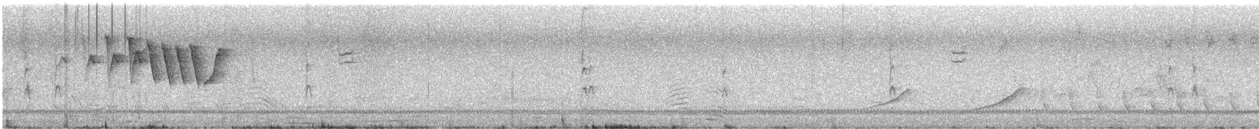 Northern Yellow Warbler - ML636094528