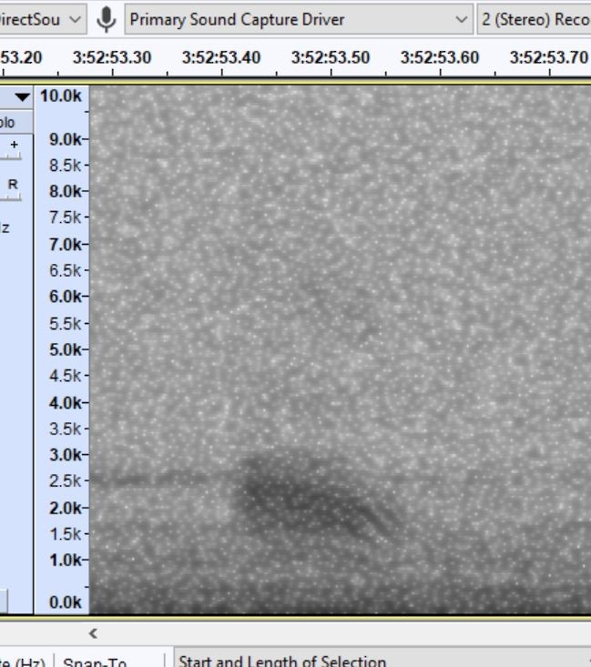 heron sp. - ML636095785