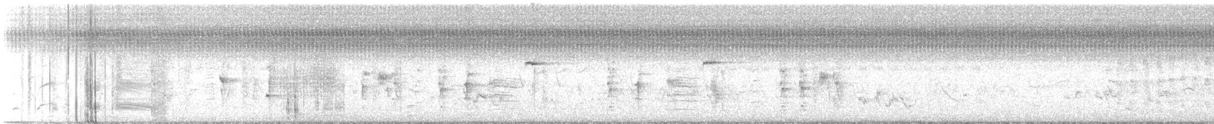 hårdrongo - ML636097186
