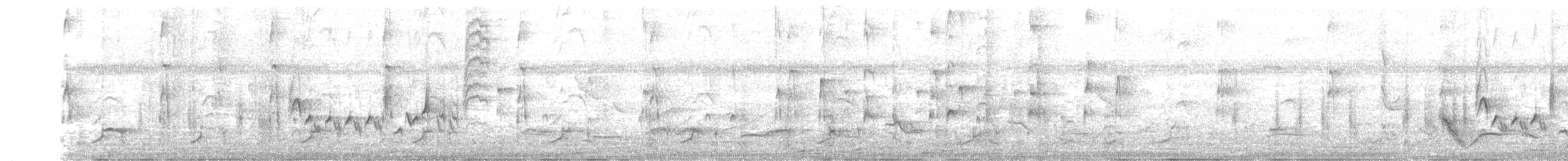Southern House Wren - ML636097921