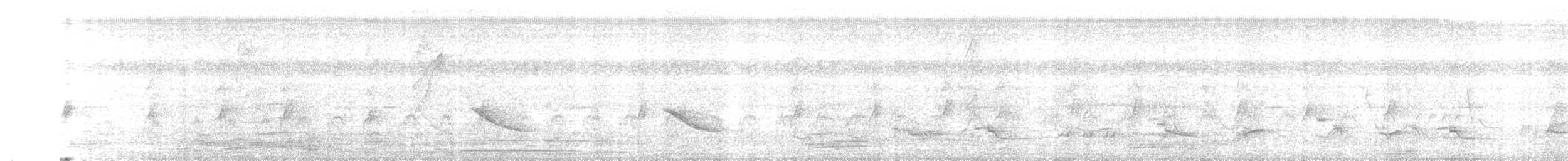 Great-tailed Grackle - ML636097947