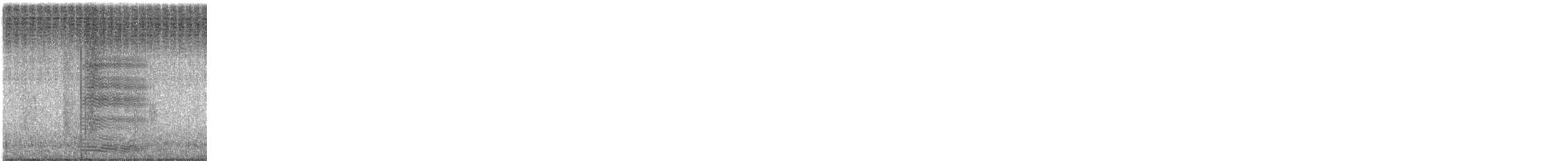 Gray Go-away-bird - ML636100788