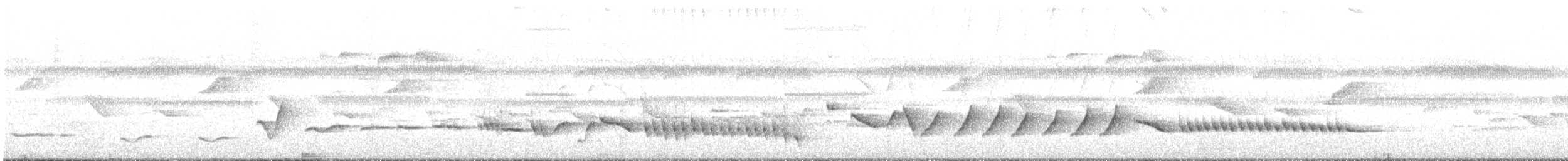 Flores Heleia - ML636101031