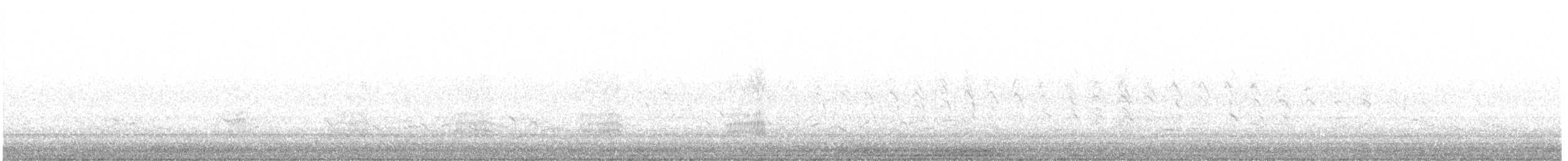 Stockente - ML636103708