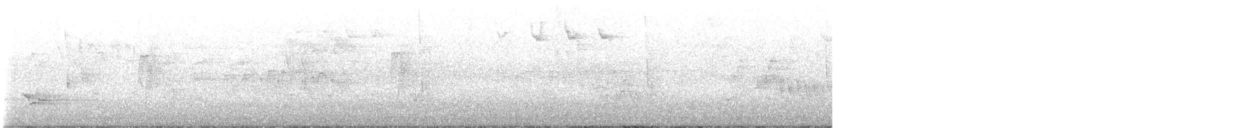 Least Flycatcher - ML636103802
