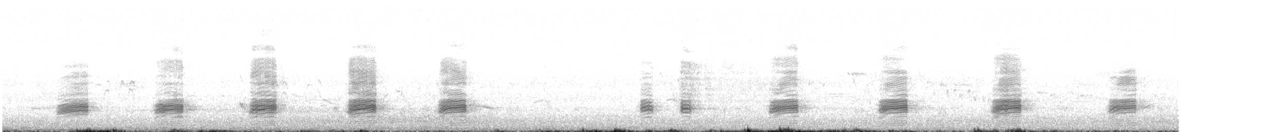 Stockente - ML636105190