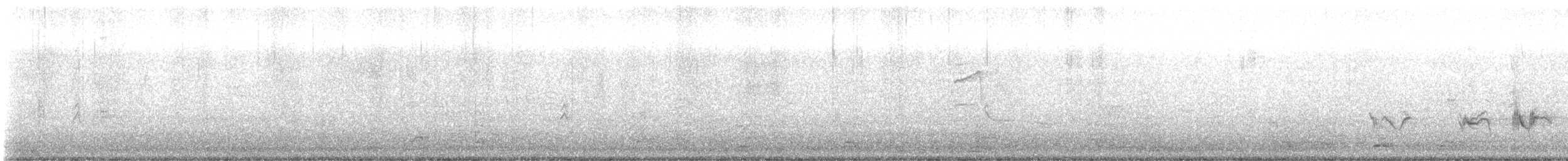 Western Tanager - ML636105914