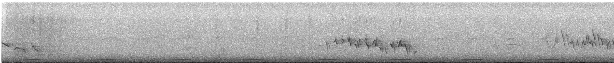 spurvedue - ML636106793