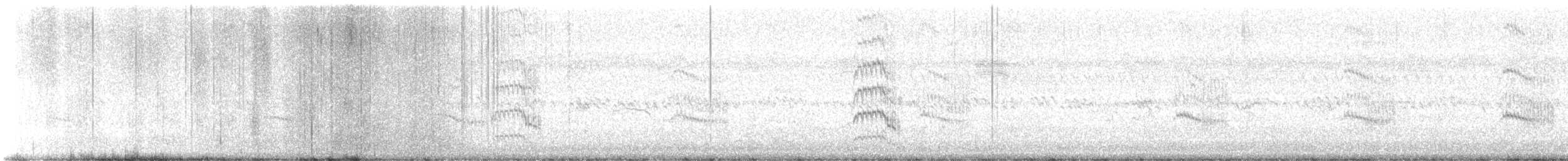 Sterne pierregarin - ML636107669