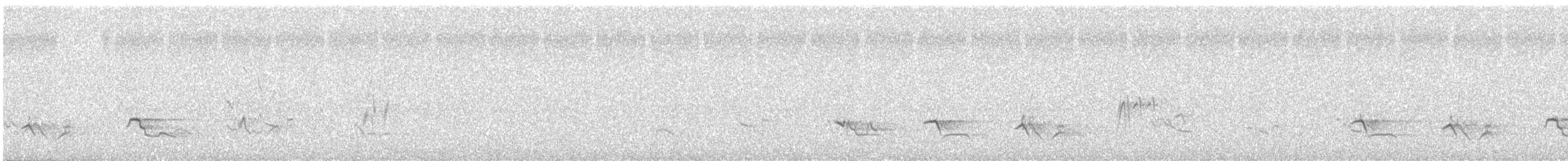 Stockente - ML636107778