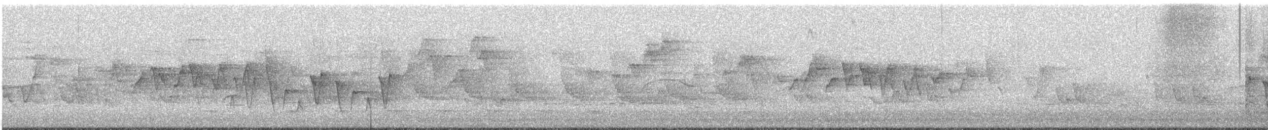 Connecticut Warbler - ML636109307