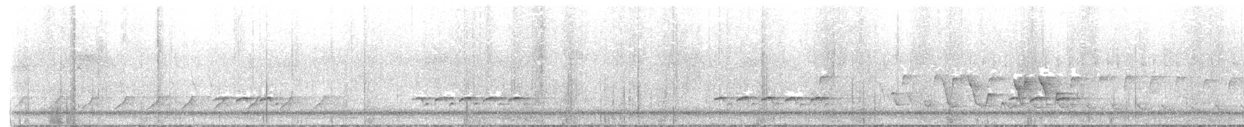 Connecticut Warbler - ML636109679